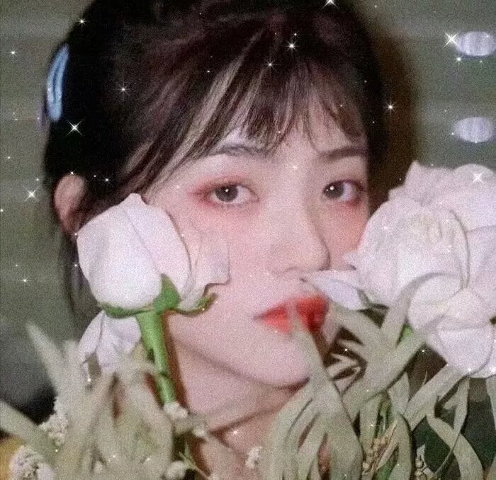 看，贝多芬
